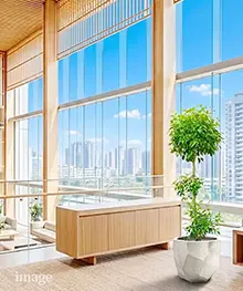 観葉植物、お祝い、贈答、ギフトの事例４（法人向け）