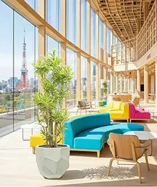 観葉植物、竣工祝祝い、新築祝いの事例３