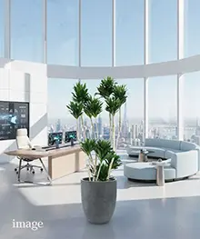 観葉植物、お祝い、贈答、ギフトの事例４（法人向け）