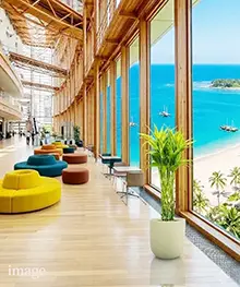 観葉植物、移転祝い、引っ越し、リニューアル祝いの事例１