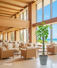 観葉植物、開店祝い、開業、開院祝いの事例１