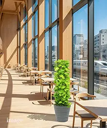 観葉植物、移転祝い、引っ越し、リニューアル祝いの事例４