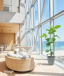 観葉植物、開店祝い、開業、開院祝いの事例４