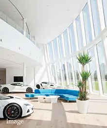 観葉植物、お祝い、贈答、ギフトの事例２（法人向け）