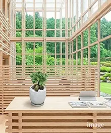 観葉植物、竣工祝祝い、新築祝いの事例３