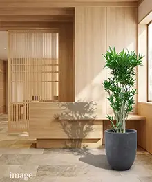 観葉植物、移転祝い、引っ越し、リニューアル祝いの事例3