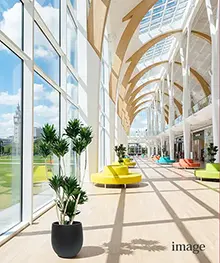 観葉植物、移転祝い、引っ越し、リニューアル祝いの事例３