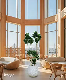 観葉植物、就任祝い、栄転、昇進祝いの事例１