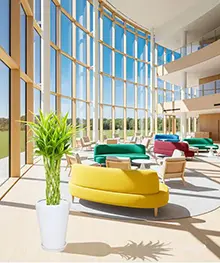 観葉植物、開店祝い、開業、開院祝いの事例３