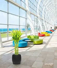 観葉植物、就任祝い、栄転、昇進祝いの事例２