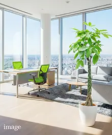 観葉植物、移転祝い、引っ越し、リニューアル祝いの事例４