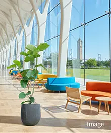 観葉植物、お祝い、贈答、ギフトの事例３（法人向け）