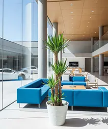 観葉植物、移転祝い、引っ越し、リニューアル祝いの事例２