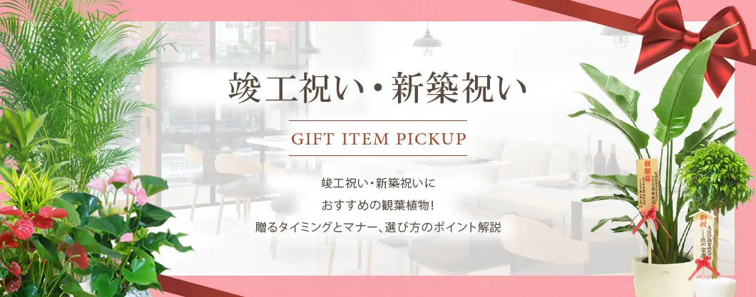 竣工祝い・新築祝いにおすすめの観葉植物！贈るタイミングとマナー、選び方のポイント解説