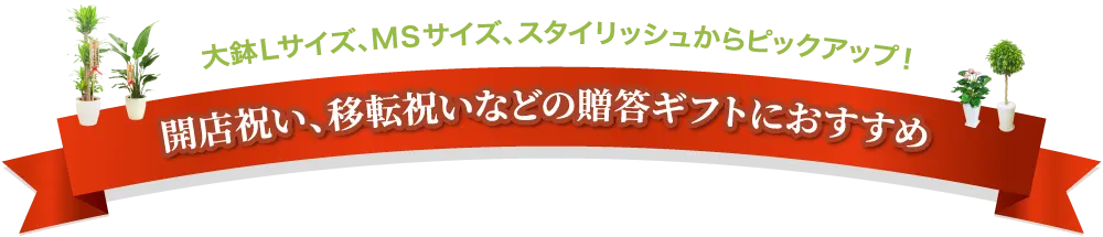 大鉢Lサイズ、MSサイズ、スタイリッシュからピックアップ!開店祝い、移店祝いなどの贈答ギフトにおすすめ