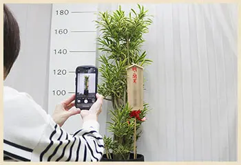 実際にお届けする商品の画像