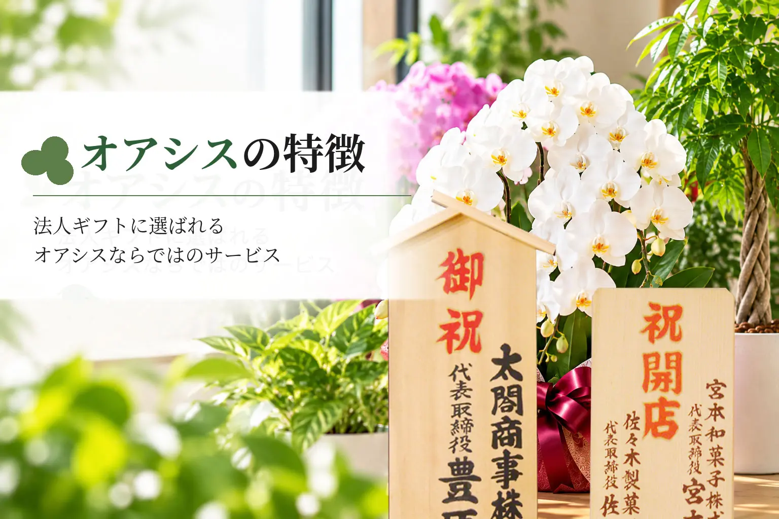 オアシスの特徴 サービスや品質へのこだわり
