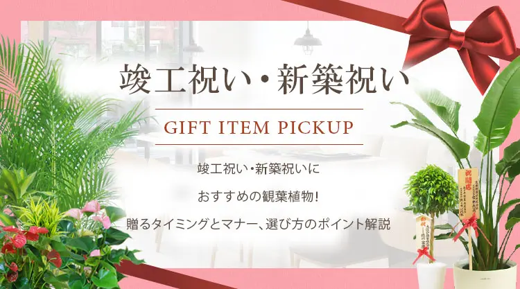 竣工祝い・新築祝いにおすすめの観葉植物！贈るタイミングとマナー、選び方のポイント解説