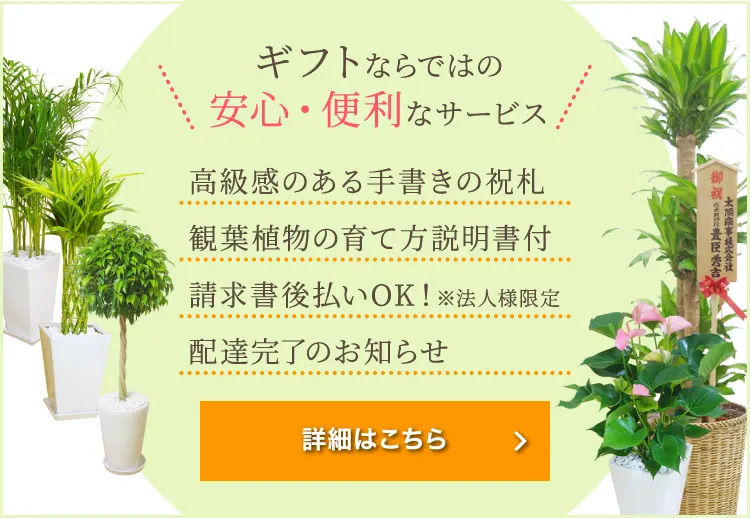 ギフトならではの安心･便利なサービス　高級感のある手書きの祝札､観葉植物の育て方説明書付､請求書後払いＯＫ､配達完了のお知らせ､詳細･ご注文はコチラ