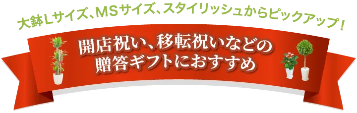 大鉢Lサイズ、MSサイズ、スタイリッシュからピックアップ!開店祝い、移店祝いなどの贈答ギフトにおすすめ