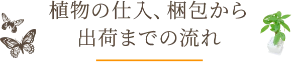 植物の仕入､梱包から出荷までの流れ