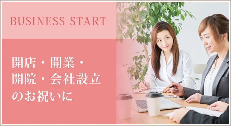開店祝い､開業､開院祝い、会社設立のお祝いにおすすめの観葉植物！贈るタイミングとマナー、選び方のポイント解説