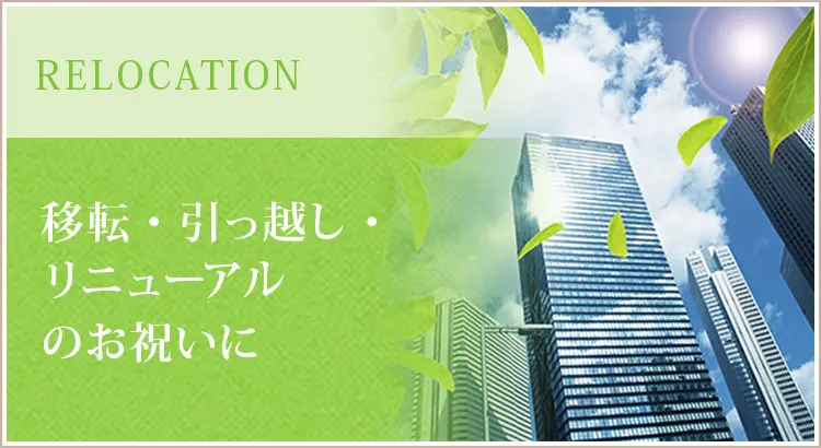 移転祝い、リニューアル祝いにおすすめの観葉植物！贈るタイミングとマナー、選び方のポイント解説