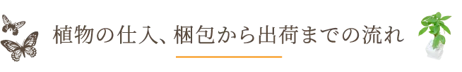 植物の仕入､梱包から出荷までの流れ