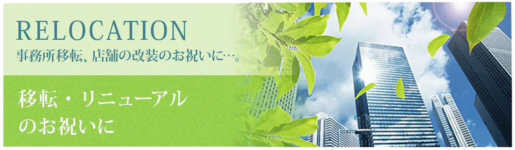 移転祝い、リニューアル祝いにおすすめの観葉植物！贈るタイミングとマナー、選び方のポイント解説