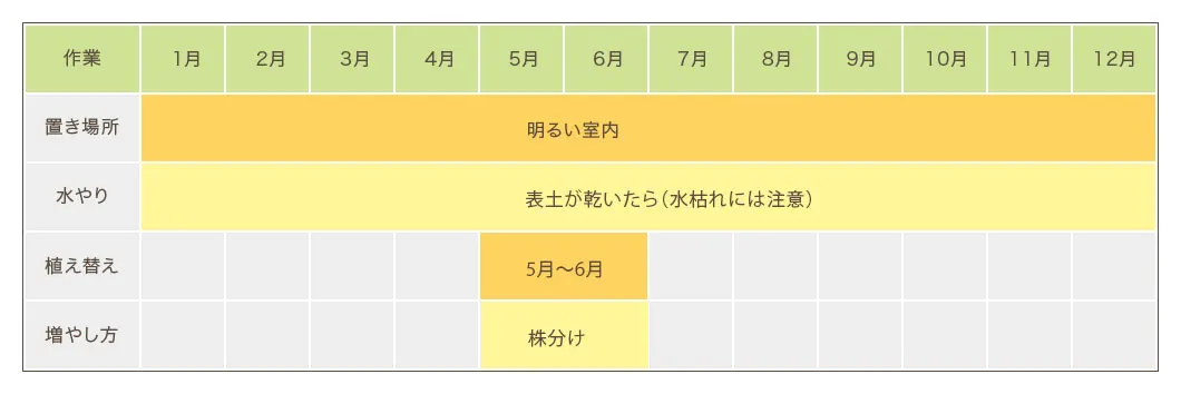 アレカヤシ栽培カレンダー 置き場所・水やり・植え替え・増やし方