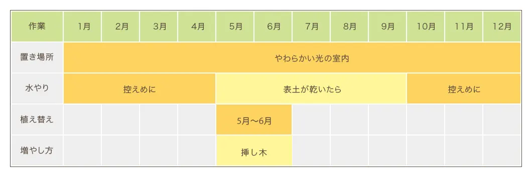 ファグラエア栽培カレンダー 置き場所・水やり・植え替え・増やし方