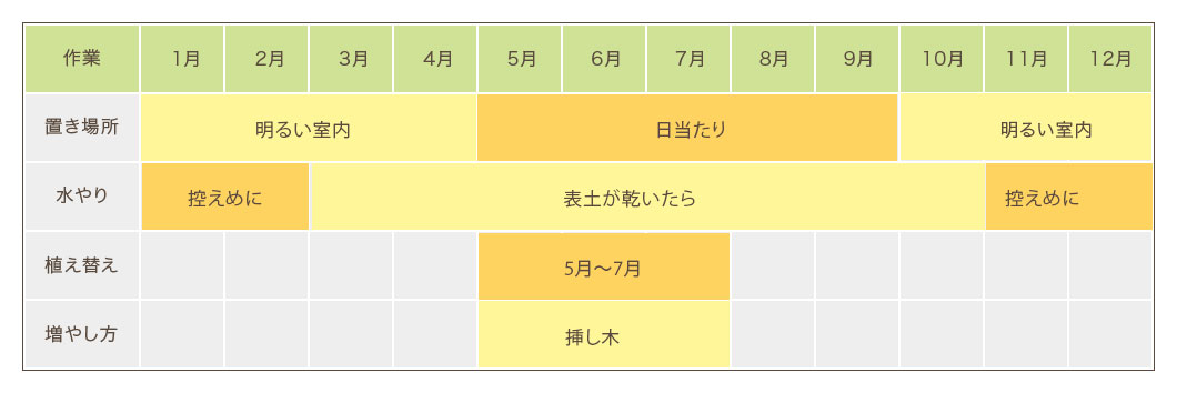 ガジュマル栽培カレンダー 置き場所・水やり・植え替え・増やし方
