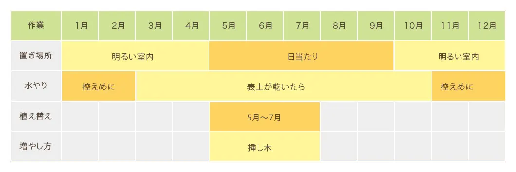 ガジュマル栽培カレンダー　置き場所・水やり・植え替え・増やし方