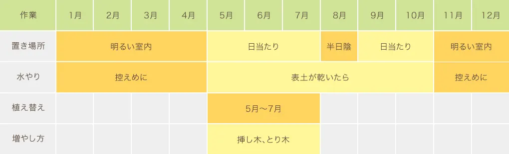 カポック栽培カレンダー　置き場所・水やり・植え替え・増やし方