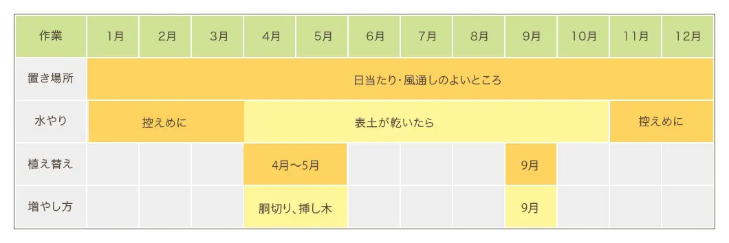 柱サボテン(鬼面角)栽培カレンダー 置き場所・水やり・植え替え・増やし方