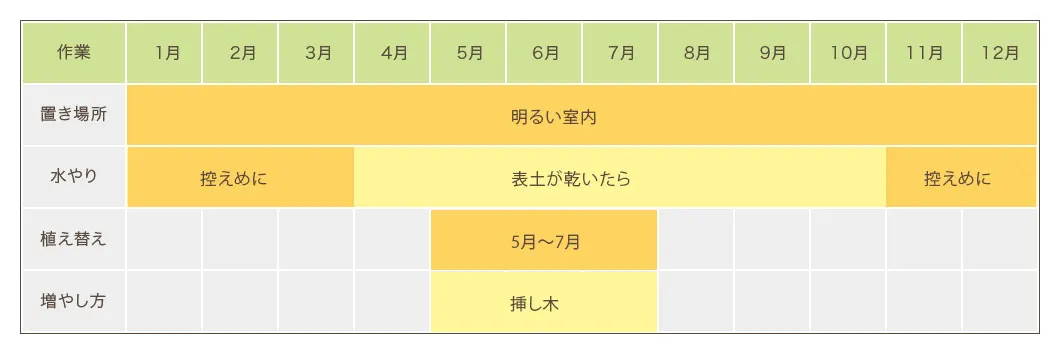 マングーカズラ栽培カレンダー 置き場所・水やり・植え替え・増やし方