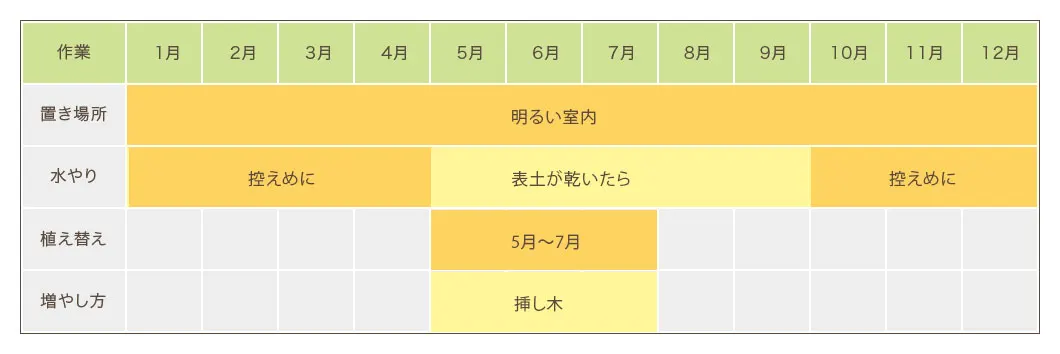 ミリオンバンブー栽培カレンダー　置き場所・水やり・植え替え・増やし方