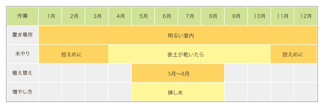 パキラ栽培カレンダー 置き場所・水やり・植え替え・増やし方