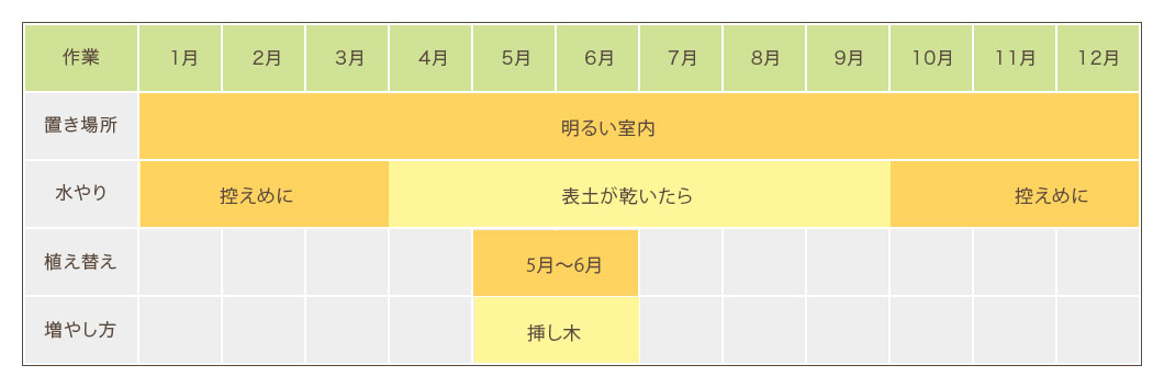 ポトス栽培カレンダー 置き場所・水やり・植え替え・増やし方