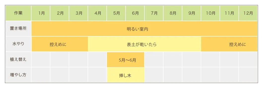 ポトス栽培カレンダー　置き場所・水やり・植え替え・増やし方