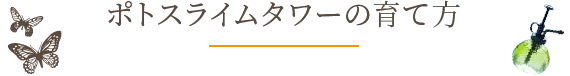 ポトスライムタワーの育て方