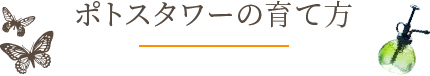 ポトスタワーの育て方