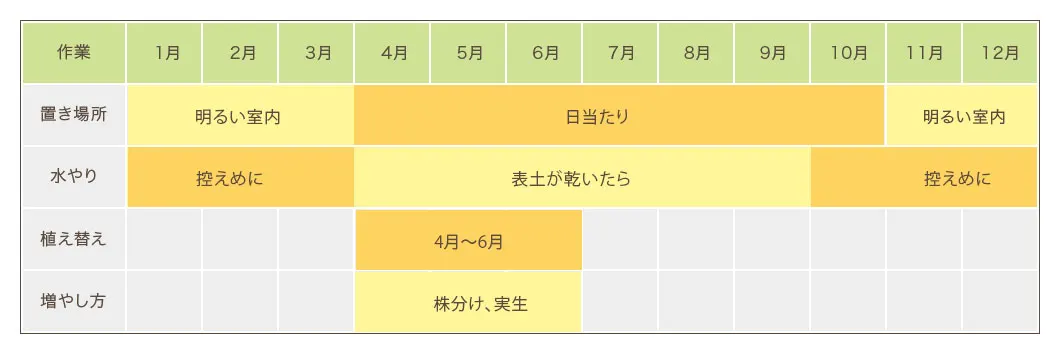 ストレリチア・レギネ栽培カレンダー　置き場所・水やり・植え替え・増やし方