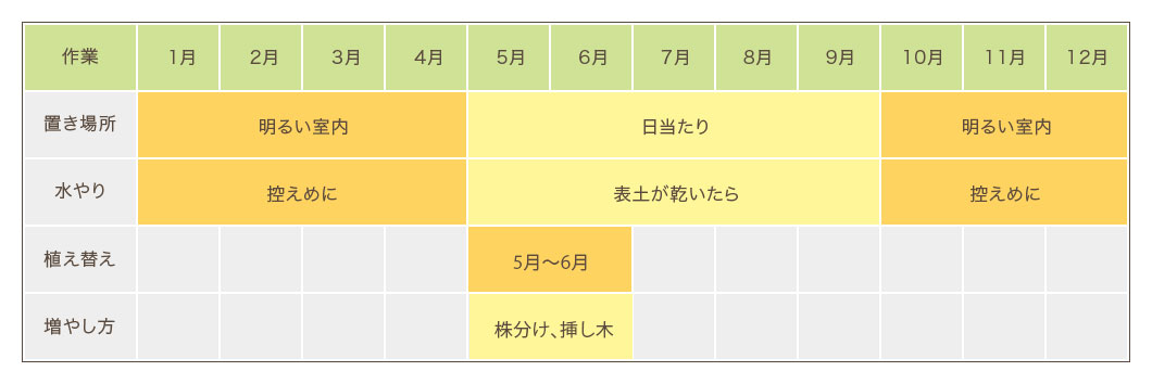 サンセベリア栽培カレンダー 置き場所・水やり・植え替え・増やし方