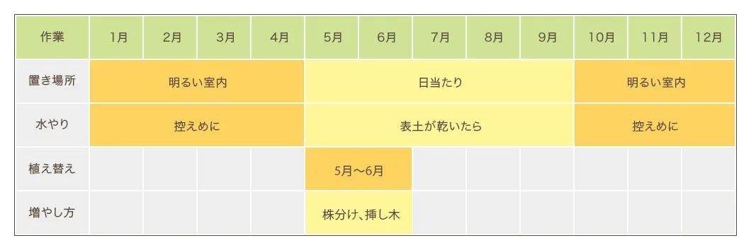 サンセベリア栽培カレンダー　置き場所・水やり・植え替え・増やし方