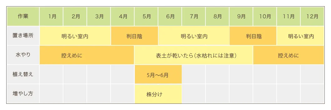 シュロチク栽培カレンダー　置き場所・水やり・植え替え・増やし方