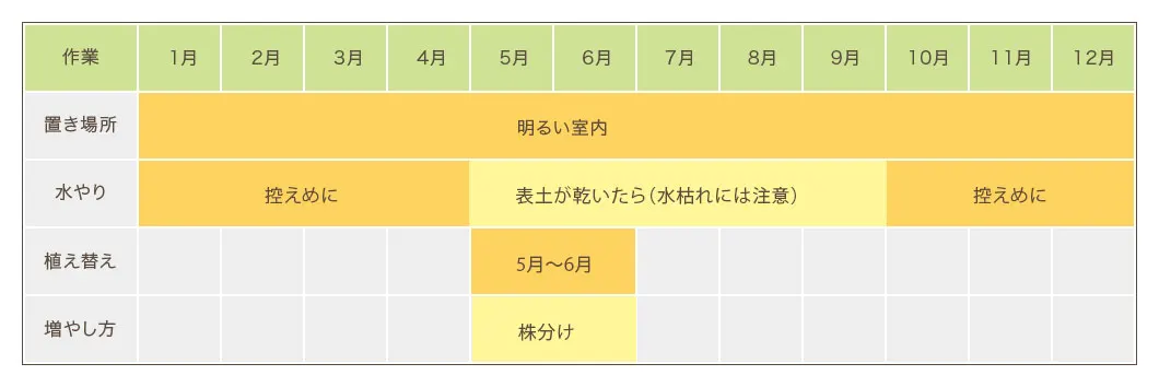 テーブルヤシ栽培カレンダー　置き場所・水やり・植え替え・増やし方