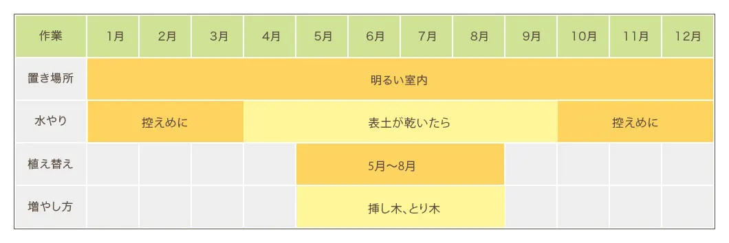 ウンベラータ栽培カレンダー　置き場所・水やり・植え替え・増やし方