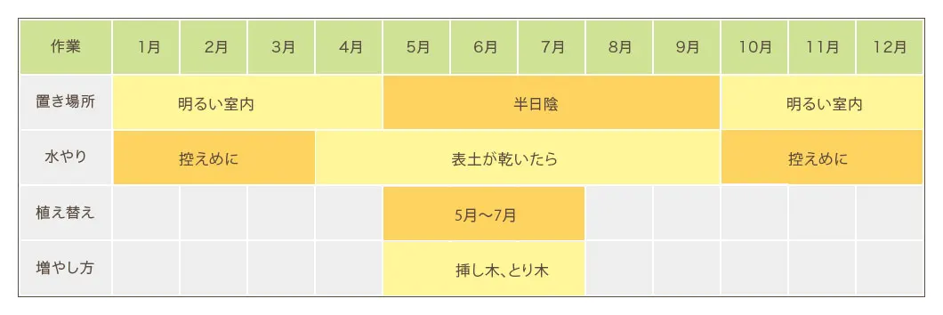 ユッカ栽培カレンダー 置き場所・水やり・植え替え・増やし方