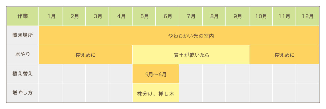 ザミオクルカス栽培カレンダー　置き場所・水やり・植え替え・増やし方